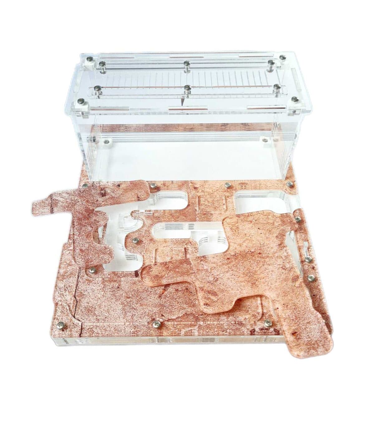 "Comfort Formicarium for ants- spacious and efficient."