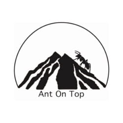 Ant on top