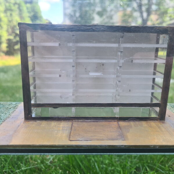 „Formicarium Pallida: Ein faszinierender Ameisenlebensraum“