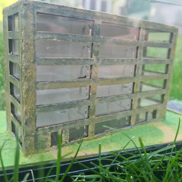 Formicarium „Pallida“ – Ein kompakter Ameisenlebensraum.