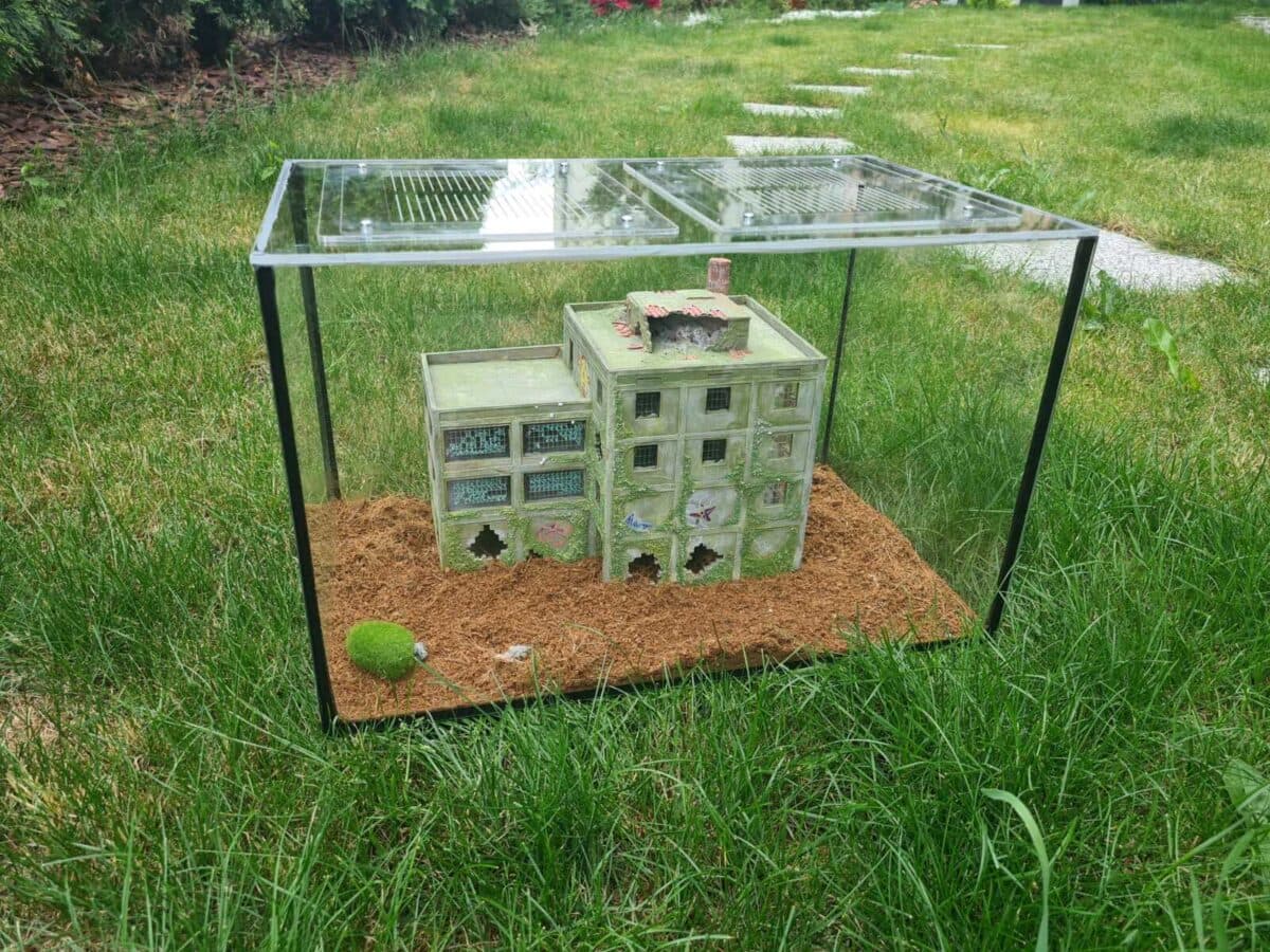 Formicarium "XLLLLL" - An enclosed habitat for ants.