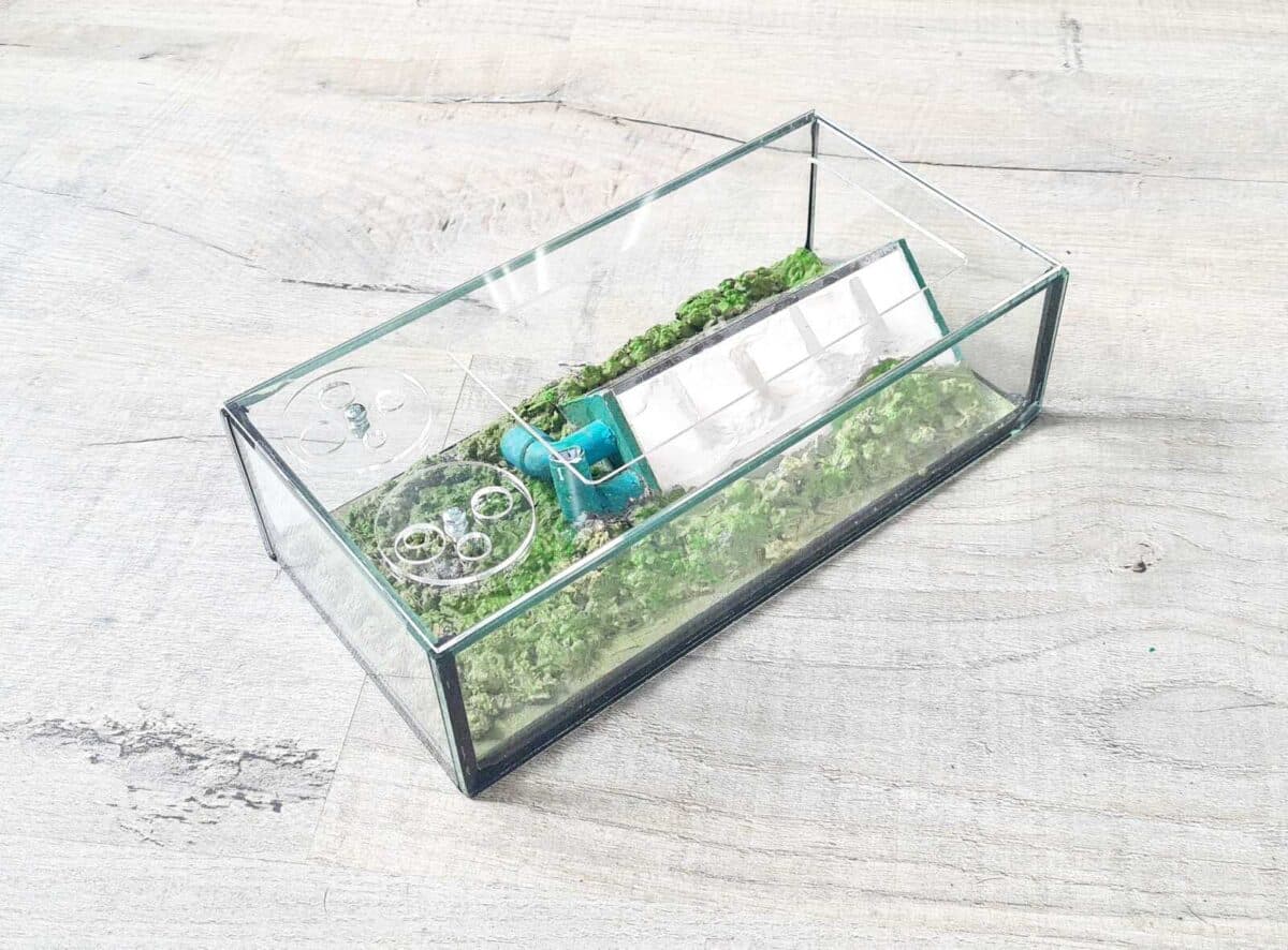 Formicarium „Typhon“: innovatives Ameisenlebensraumdesign.