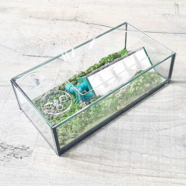 Formicarium „Typhon“: innovatives Ameisenlebensraumdesign.