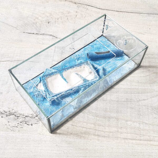 Formicarium „Typhon“ – Innovativer Ameisenlebensraum.