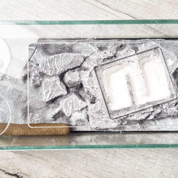 Formicarium „Typhon“ – Ein stilvoller und innovativer Ameisenlebensraum.