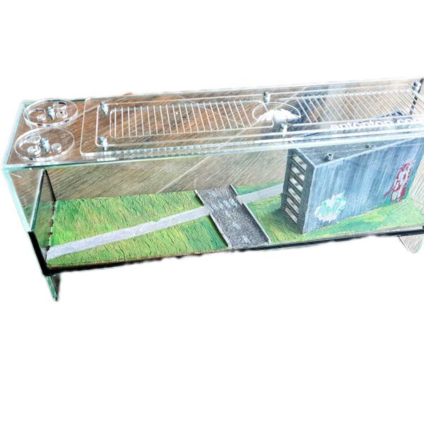 „Formicarium „XLLLLL““ – Selbsterhaltender Ameisenlebensraum.