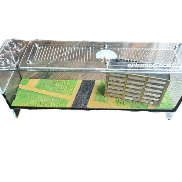 "Formicarium "XLLLLL"" Habitat de colonie de fourmis aux caractéristiques exceptionnelles.