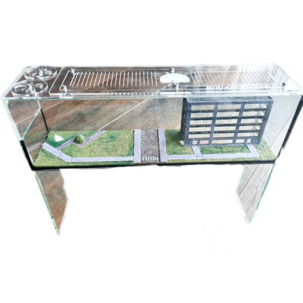 "Formicarium "XLLLLL"" - Ant habitat for educational observation.