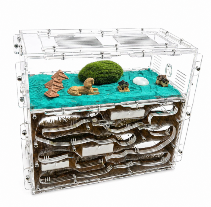 Formikarium Giant  obrazek 1