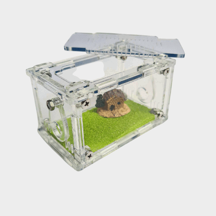 Arena Terrarium S