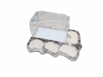 Formicarium Ponero