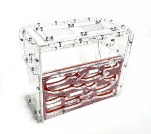 "Formicarium 'Giant' - A spacious ant habitat"