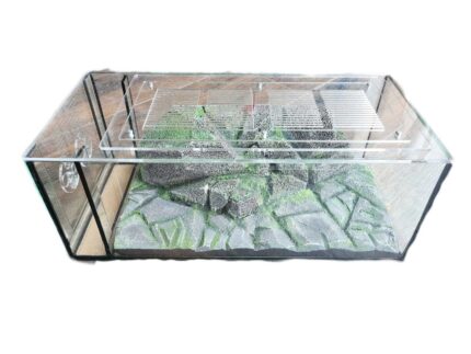 Formicarium "Es Hill"
