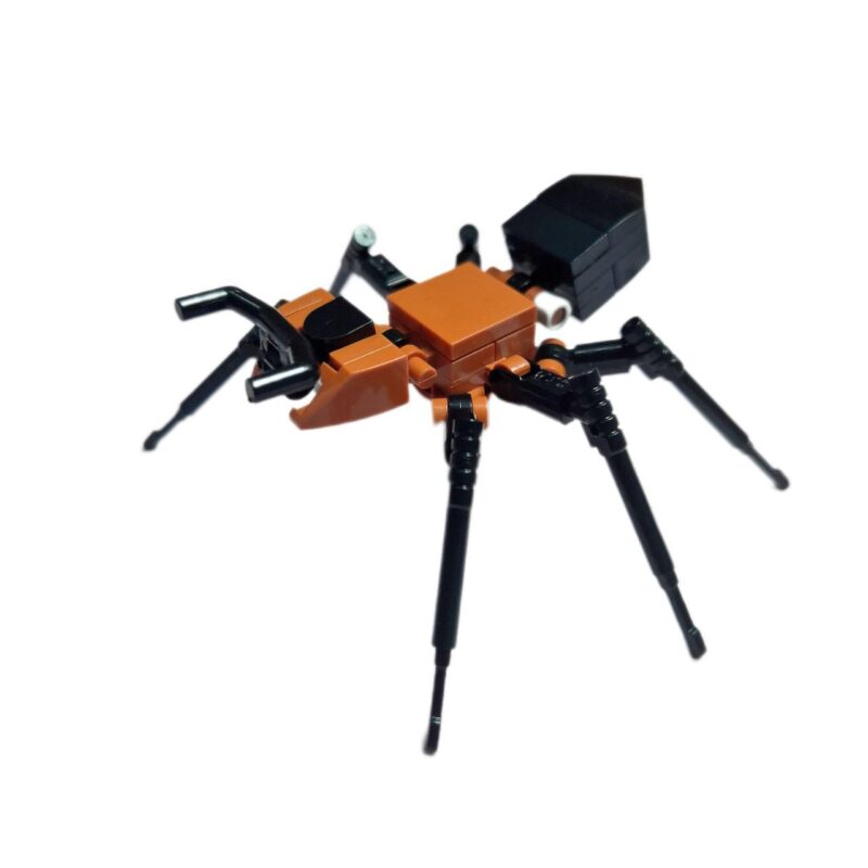 Startseite  Buy Ants, Formicaria & Ant Accessories | AntOnTop