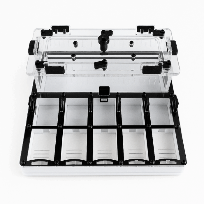 BoxLab L 1 Formikarium Plaster L  obrazek 2