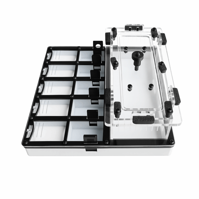 BoxLab L 2 Formikarium Plaster L  obrazek 4