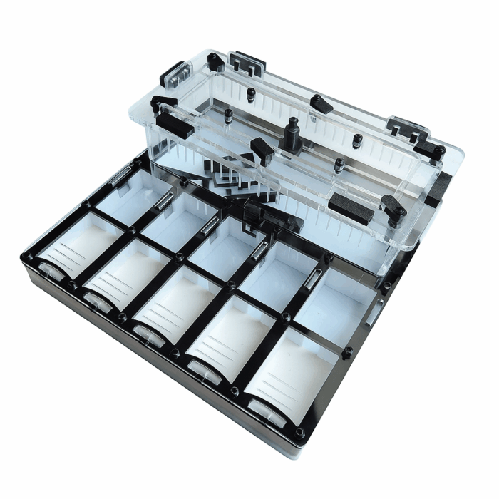 BoxLab L 4 Formikarium Plaster L  obrazek 1
