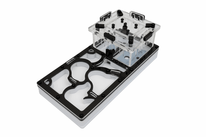 Clatiry 4 Formikarium Clarity  obrazek 1