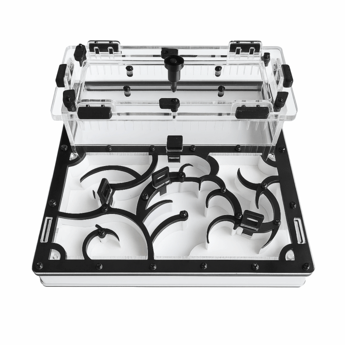 Dragon 1 Formikarium Dragon  obrazek 2