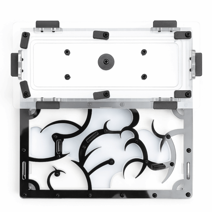 Dragon 4 Formikarium Dragon  obrazek 3
