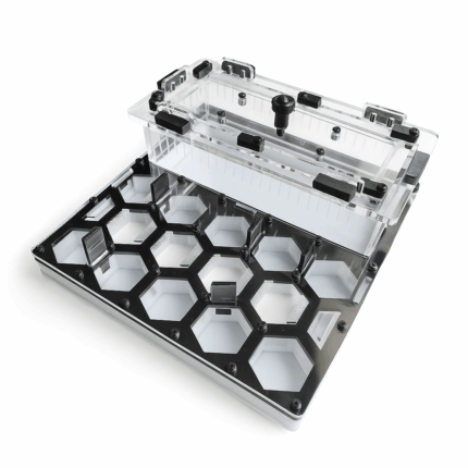 Formicarium Plaster L