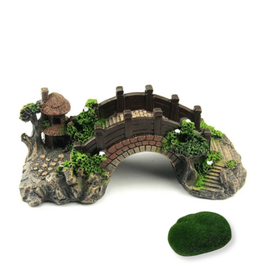 Home  Buy Ants, Formicaria & Ant Accessories | AntOnTop