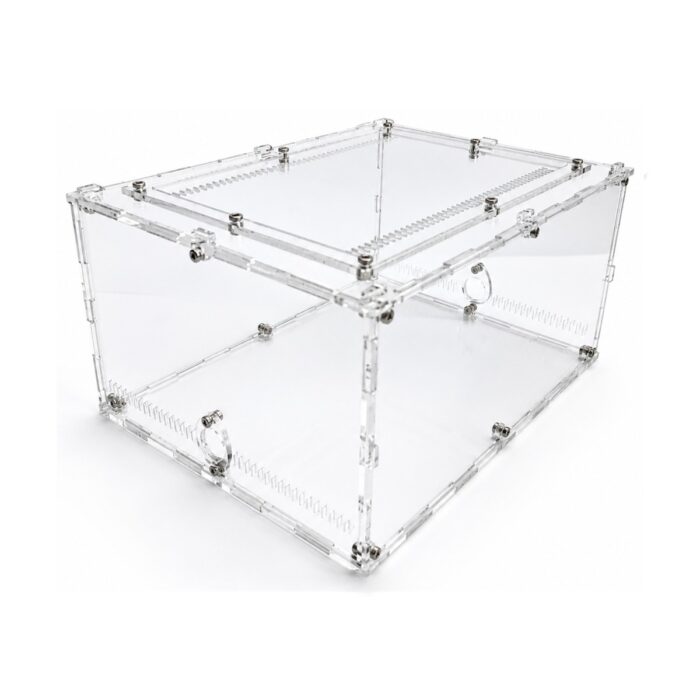 Arena Terrarium L — ant nest setup ( 7/9)
