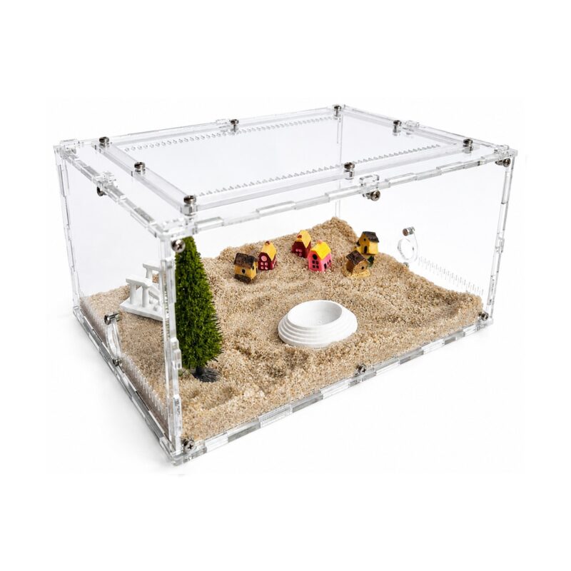 Arena Terrarium L — ant nest setup (photo 2/9)