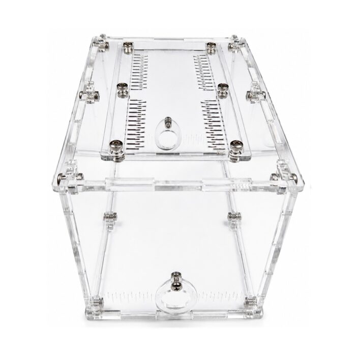 Arena Terrarium M — ant nest setup ( 3/7)