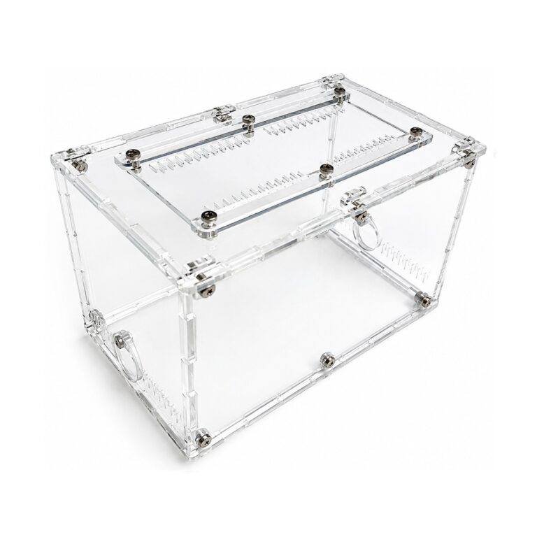 Arena Terrarium M — ant nest setup (photo 2/7)
