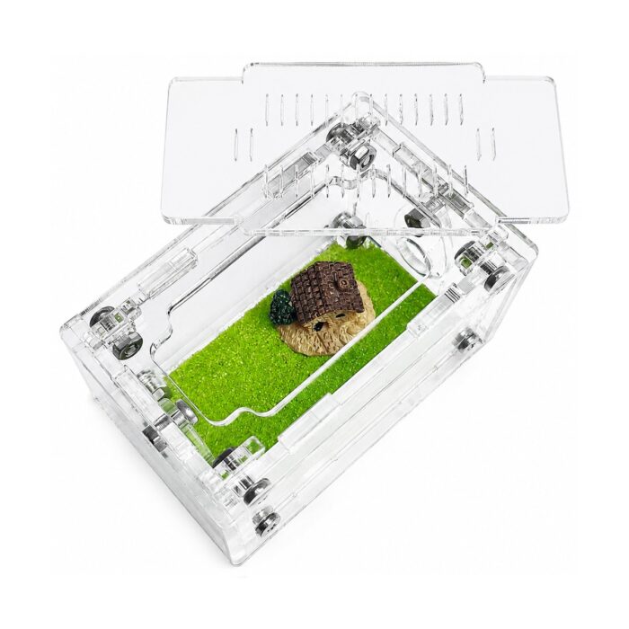 Arena Terrarium S — ant nest setup ( 4/8)