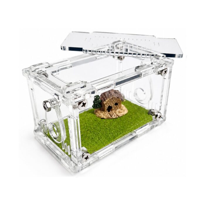 Arena Terrarium S — ant nest setup ( 3/8)