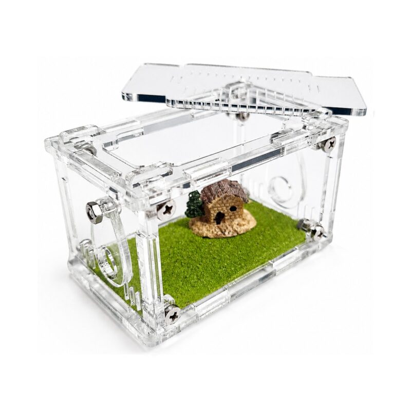Arena Terrarium S — ant nest setup (photo 3/8)