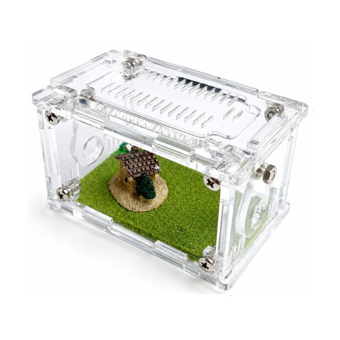 Arena Terrarium S — ant nest setup ( 2/8)
