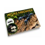 Book Atlas des fourmis (FR) - libro de mirmecologia sobre hormigas (photo 5/5)