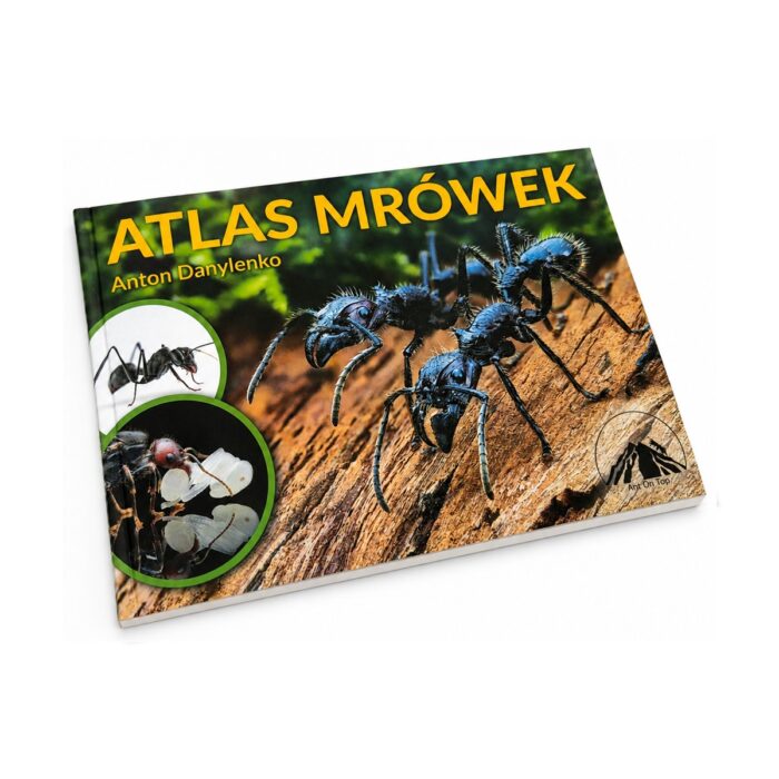 Book Atlas des fourmis (FR)  libro de mirmecologia sobre hormigas ( 4/5)