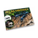Book Atlas des fourmis (FR) - libro de mirmecologia sobre hormigas (photo 3/5)