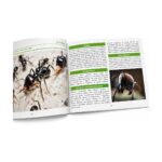 Book Atlas des fourmis (FR) - libro de mirmecologia sobre hormigas (photo 2/5)