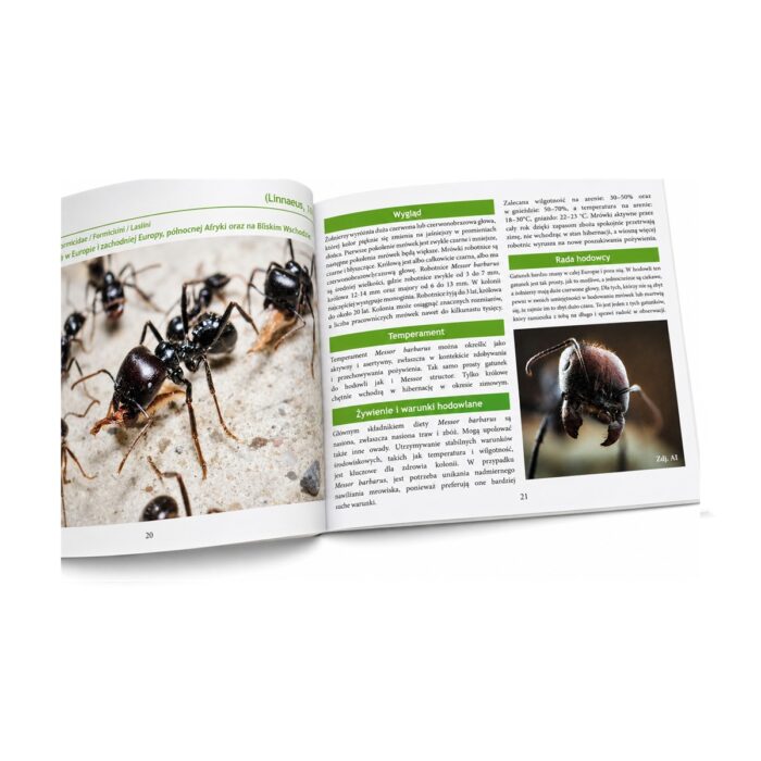 Book Atlas des fourmis (FR)  libro de mirmecologia sobre hormigas ( 2/5)