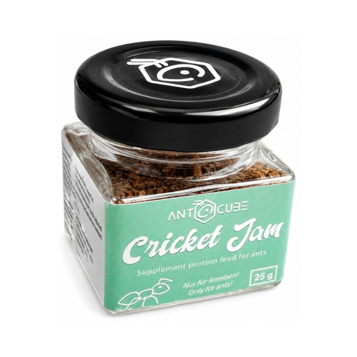 Cricket Jam  żywność białkowa  obrazek 3