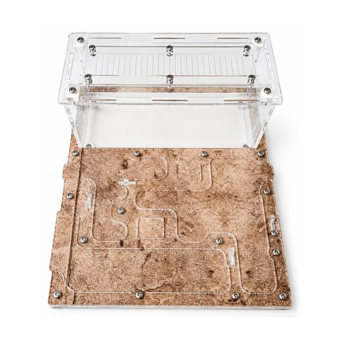 Formikarium Komfort  obrazek 6