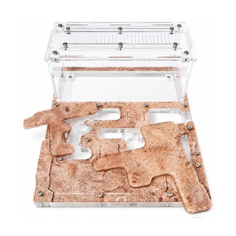 Formicarium Comfort — ant nest setup (photo 1/6)