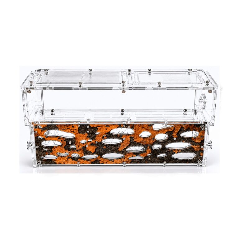 Formicarium Giant 2 — ant nest setup (photo 1/2)