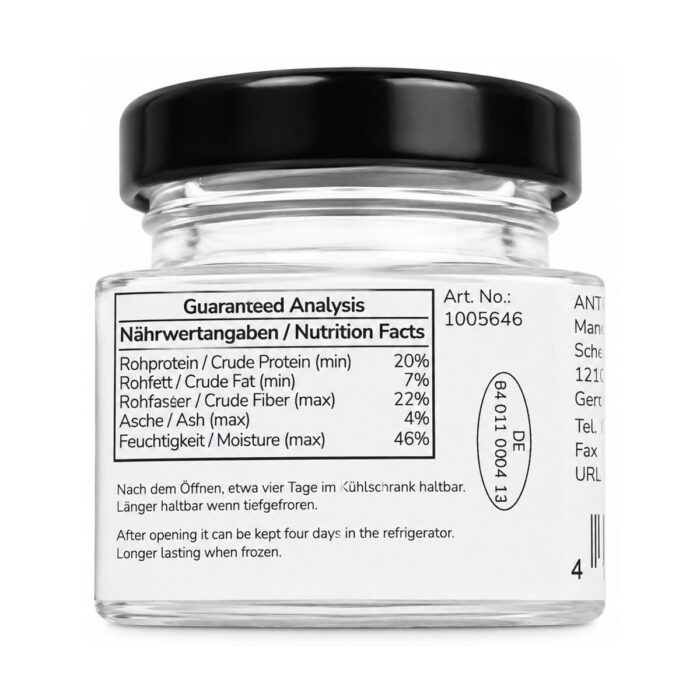 Blanchierte ganze Grillen — Nahaufnahme — ANTonTOP