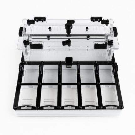 Formicarium Ivory L — formikarium dla mrówek z gniazdem i areną w ANTonTOP