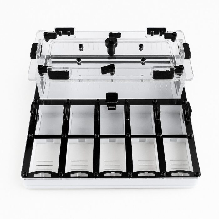 BoxLab L 1 Formicarium Ivory L — formikarium dla mrówek z gniazdem i areną w ANTonTOP