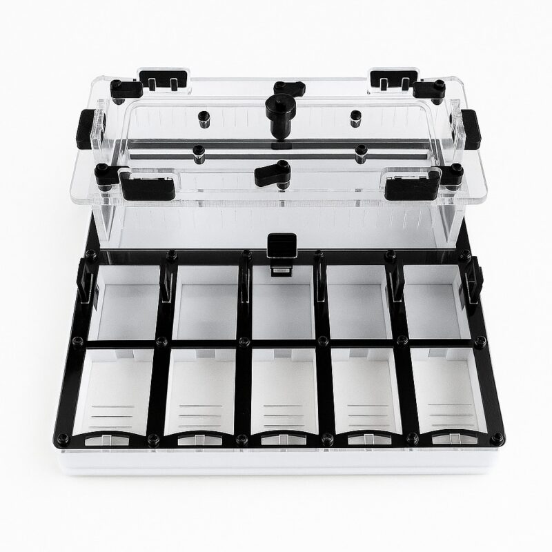 Formicarium Ivory L — ant formicarium with nest and foraging arena at ANTonTOP