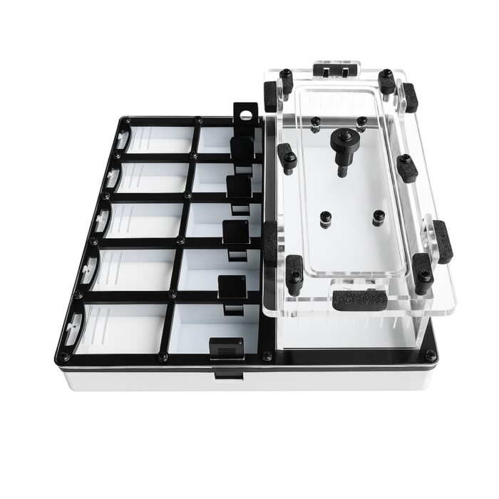 Formikarium Ivory L  obrazek 2