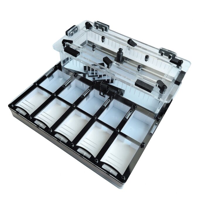 Formikarium Ivory L  obrazek 4