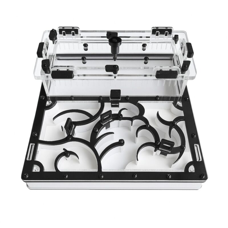Formicarium Dragon — ant formicarium with nest and foraging arena at ANTonTOP
